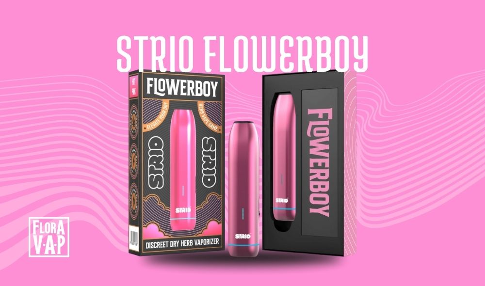Strio Flowerboy: ¿El mejor vaporizador herbal del mercado?
