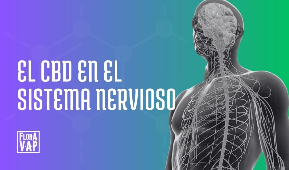 ¿Qué hace el CBD en el sistema nervioso?